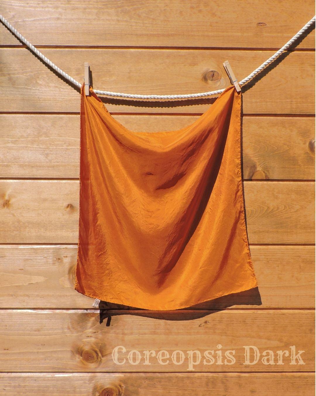 Warm Shades Silk Scarf | Natural Dye | Hand Dyed | Wild Rag