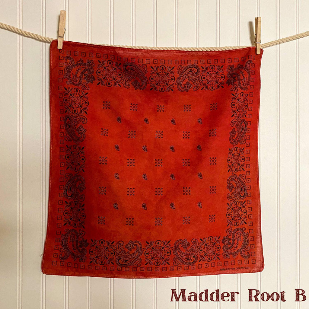 Vintage Hand-Dyed Bandana | Natural Dye | Wild Rag