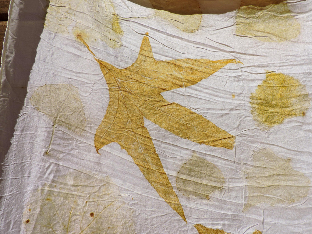 Eco Printed Silk Scarf | Natural Dye | Hand Dyed | Wild Rag