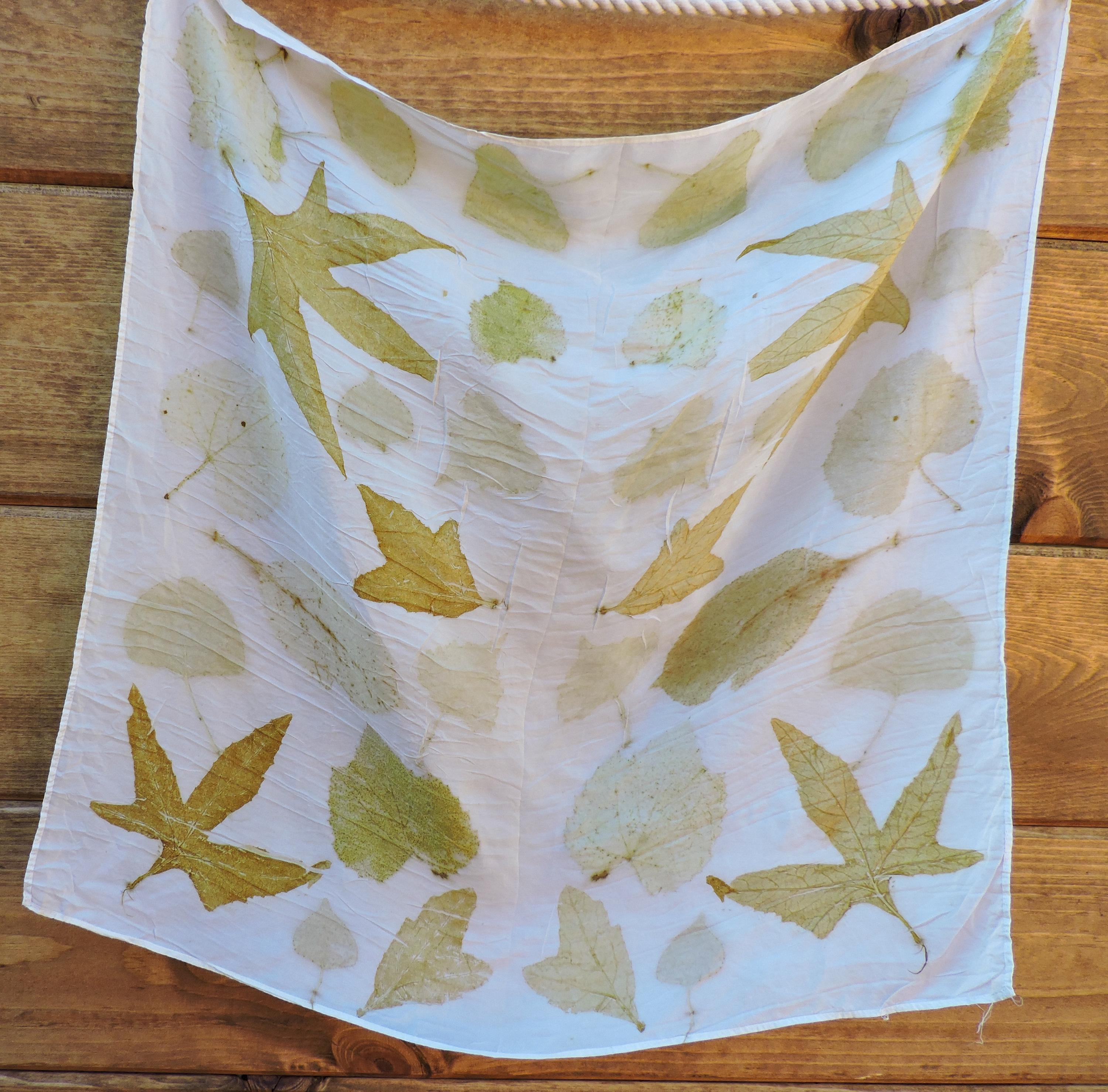 Eco Printed Silk Scarf | Natural Dye | Hand Dyed | Wild Rag