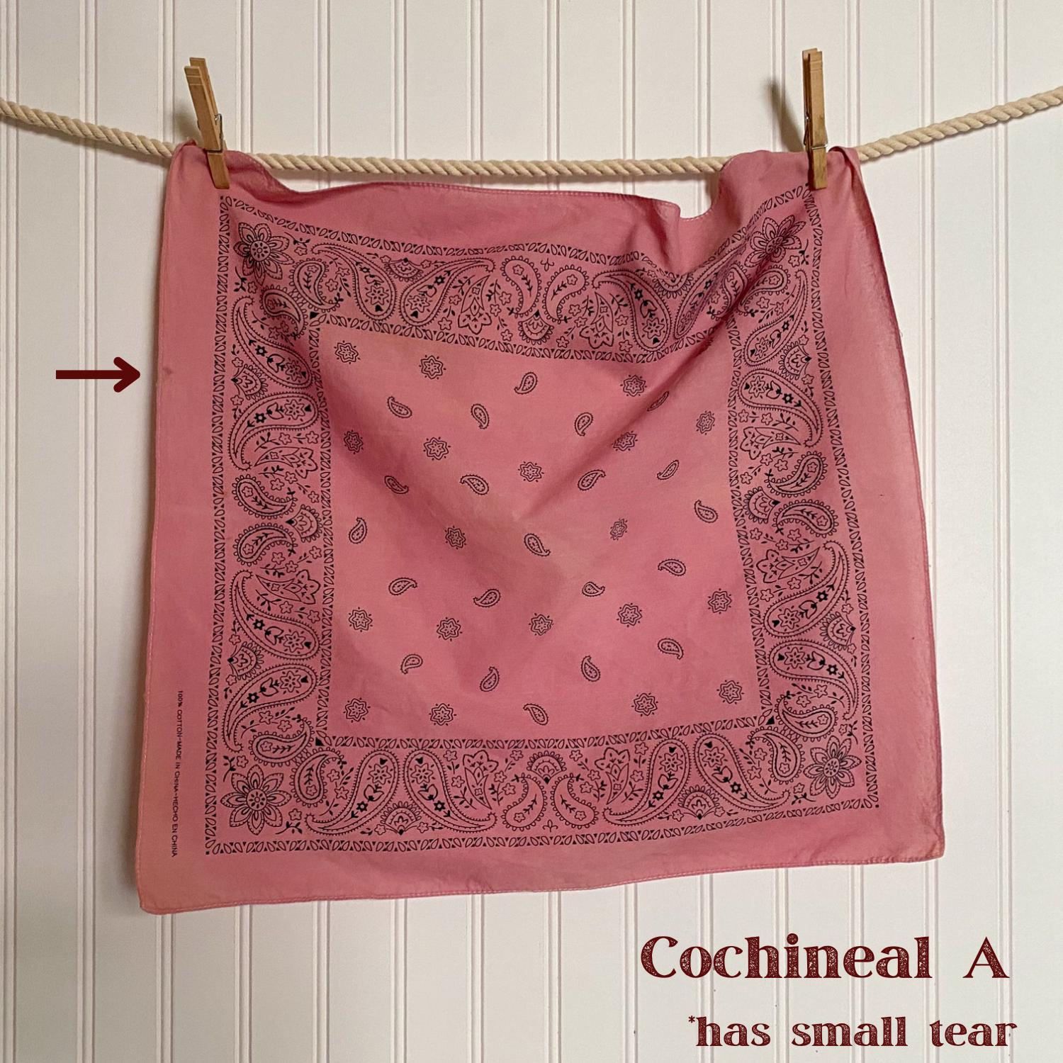 Vintage Hand-Dyed Bandana | Natural Dye | Wild Rag