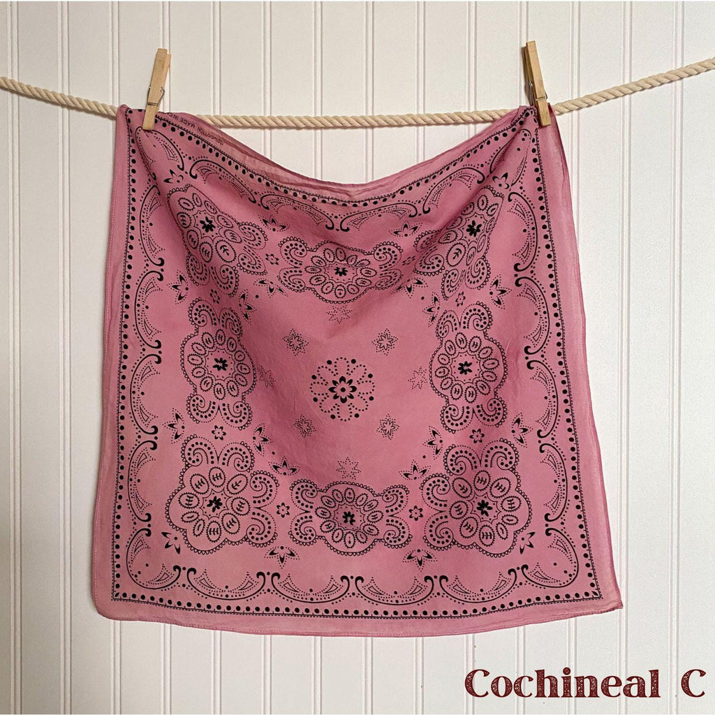 Vintage Hand-Dyed Bandana | Natural Dye | Wild Rag