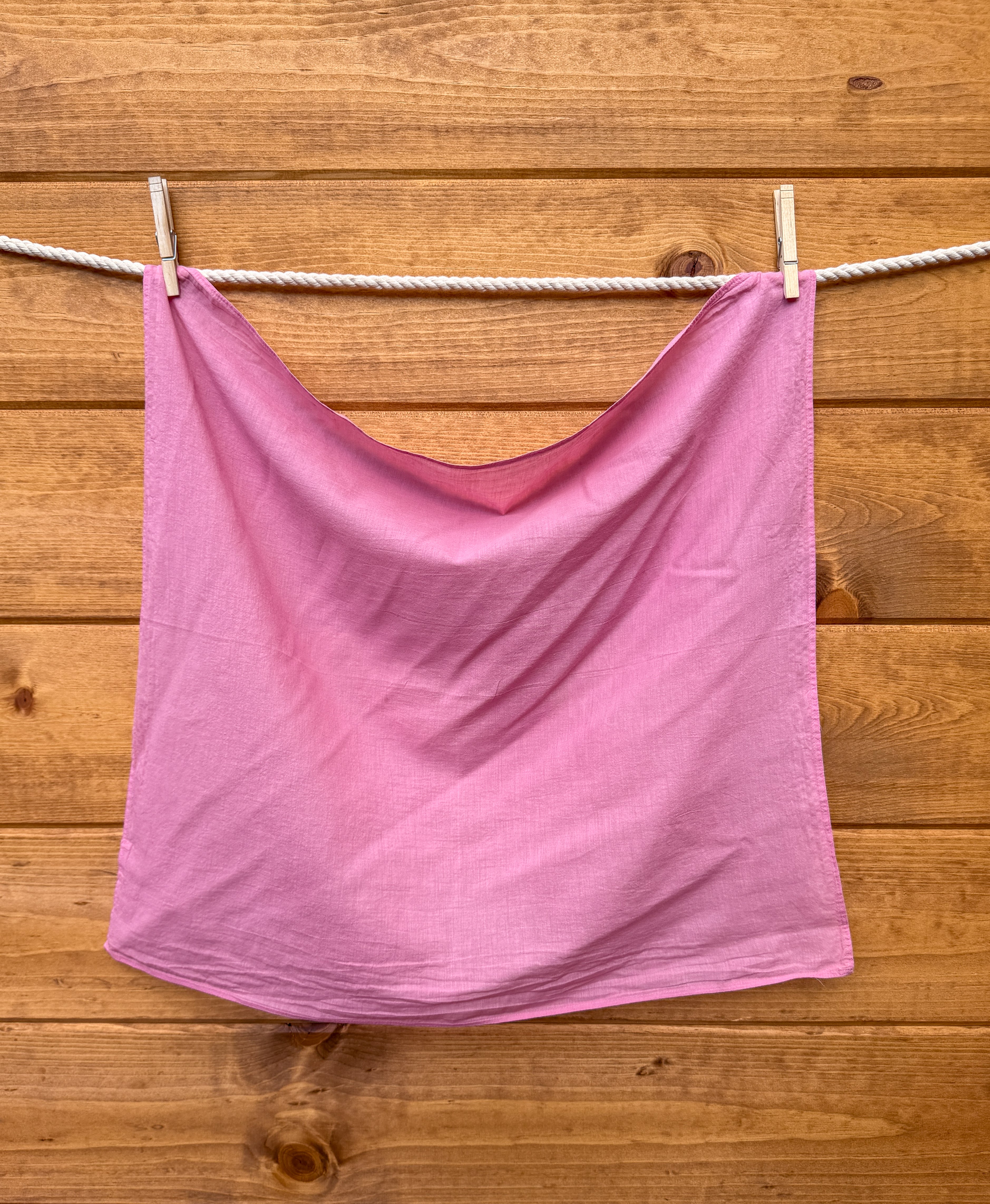Pink bandana hanging on a clothesline against a wooden wall