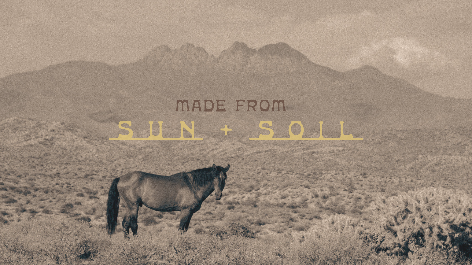 Horse in a desert landscape with mountains, featuring the text 'Made from Sun + Soil'.