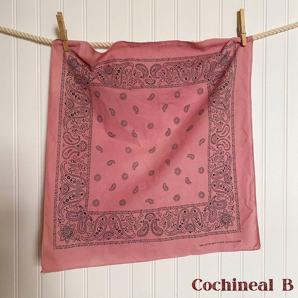 Vintage Hand-Dyed Bandana | Natural Dye | Wild Rag