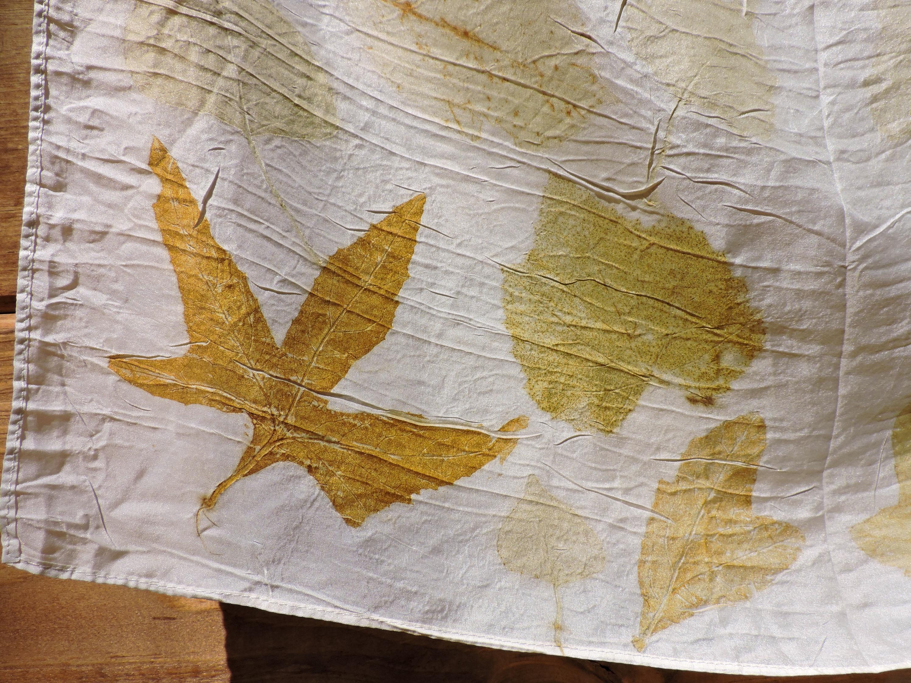 Eco Printed Silk Scarf | Natural Dye | Hand Dyed | Wild Rag