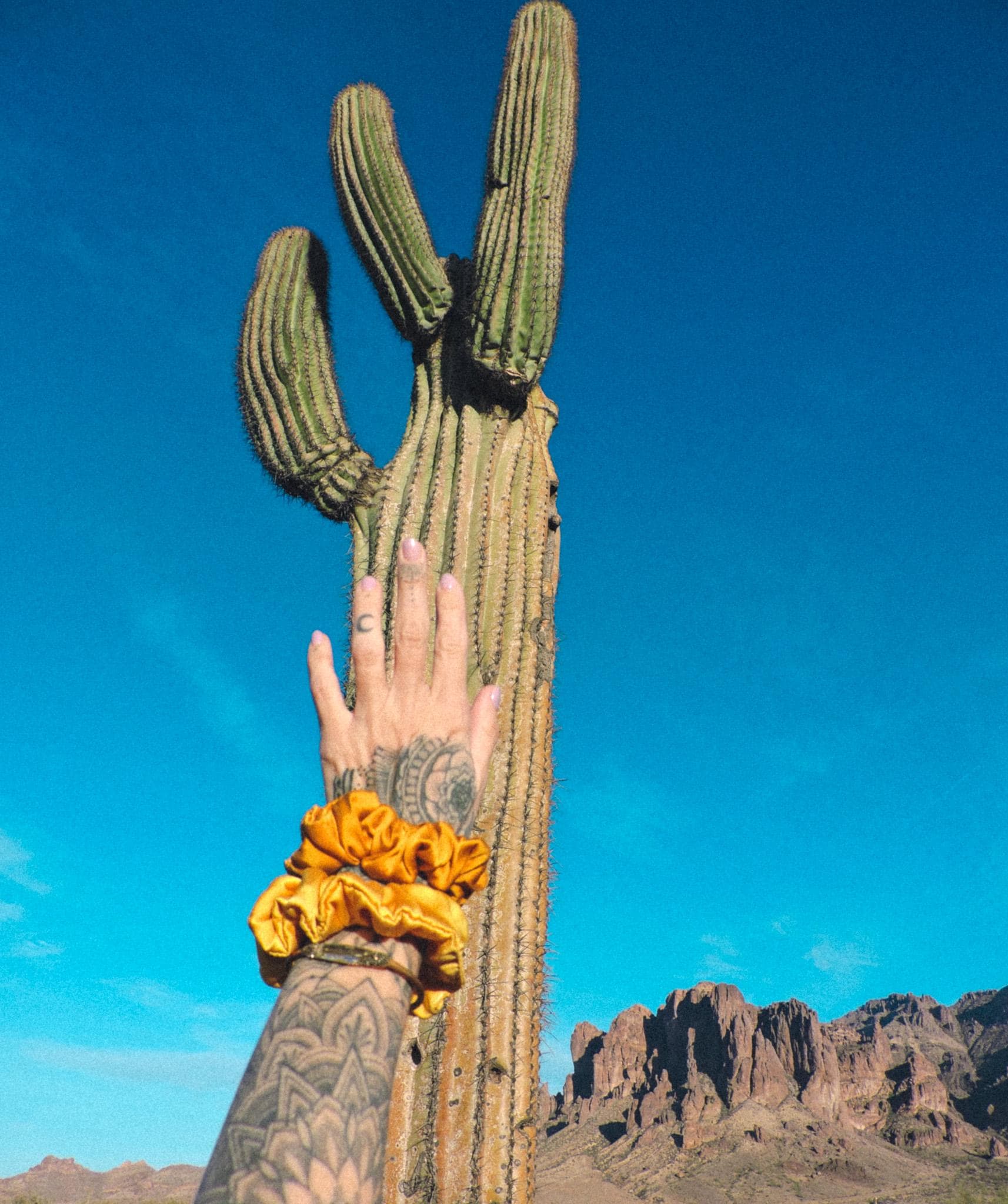 Silk Scrunchie | Hand-Dyed 100% Silk | Natural Dye |