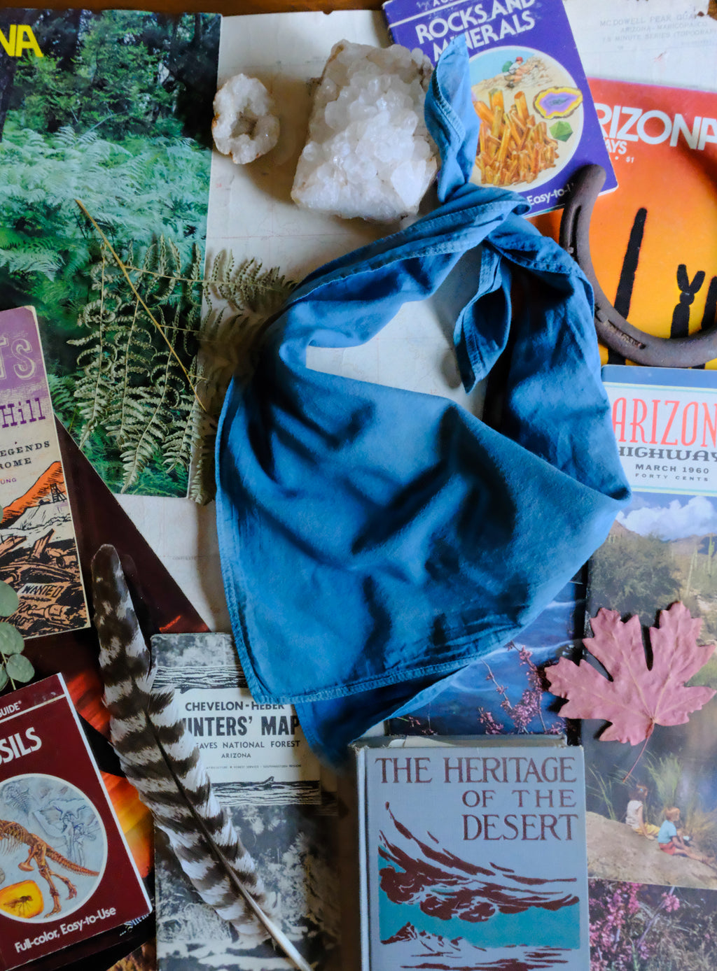 Organic Cotton Bandanas