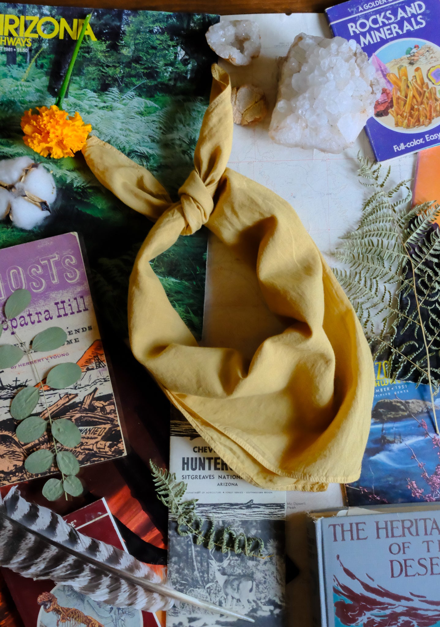 Organic Cotton Bandanas