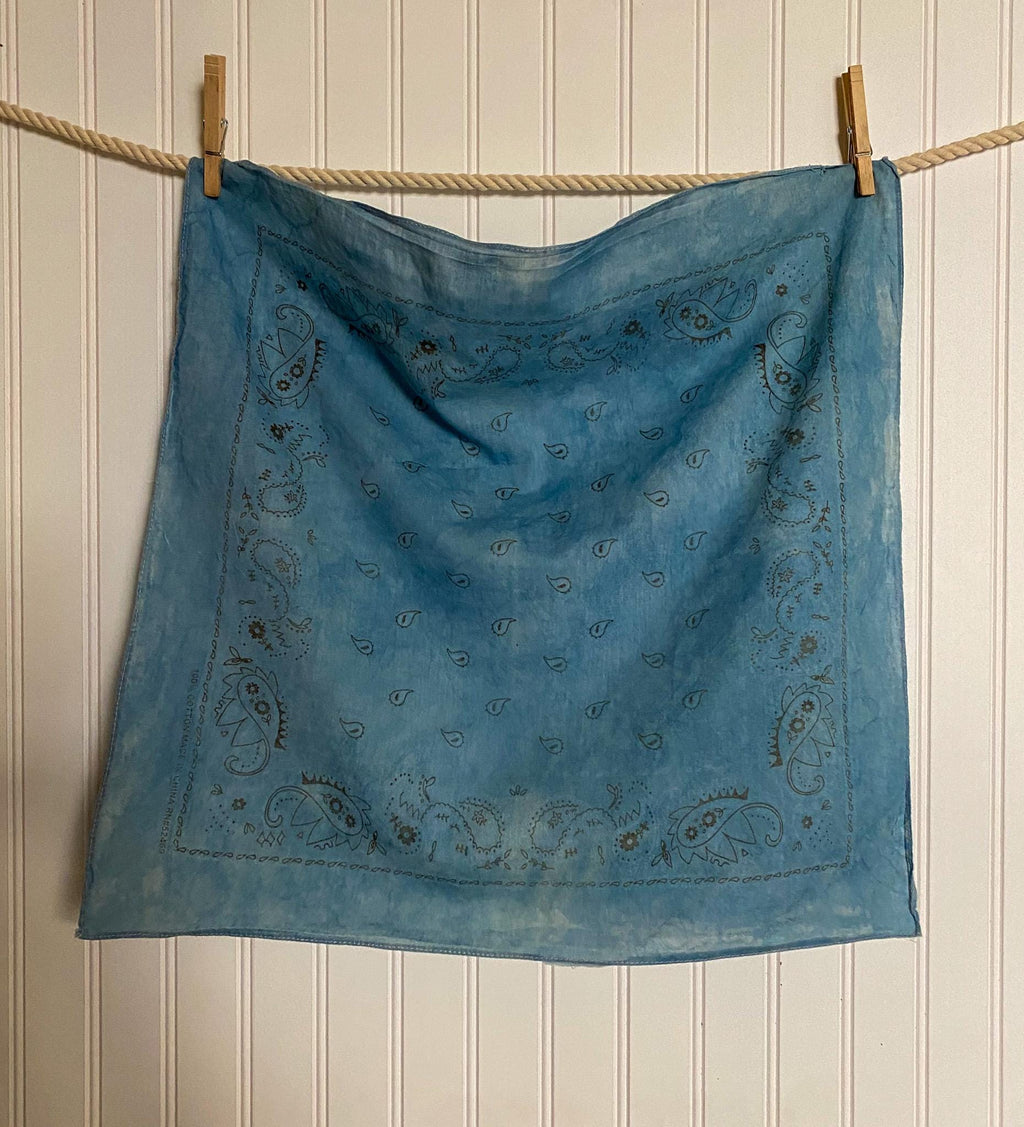 Vintage Hand-Dyed Bandana | Natural Dye | Wild Rag
